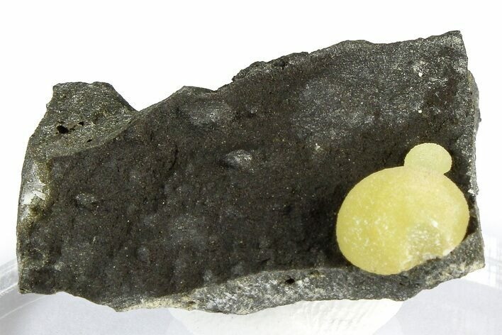 Globular Yellow Calcite Formations on Basalt - Italy #368858